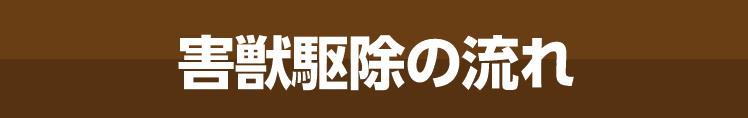 害獣駆除解決の流れ
