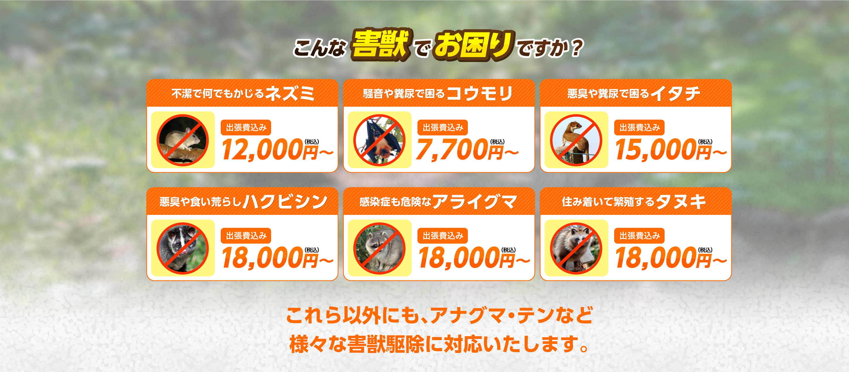 こんな害獣にお困りですか