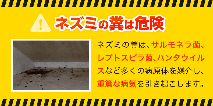危険